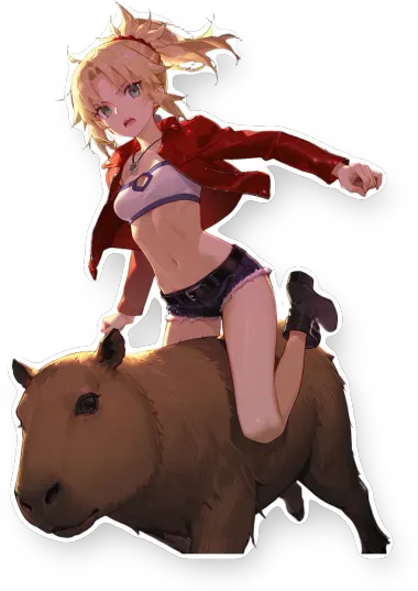 Fate Series