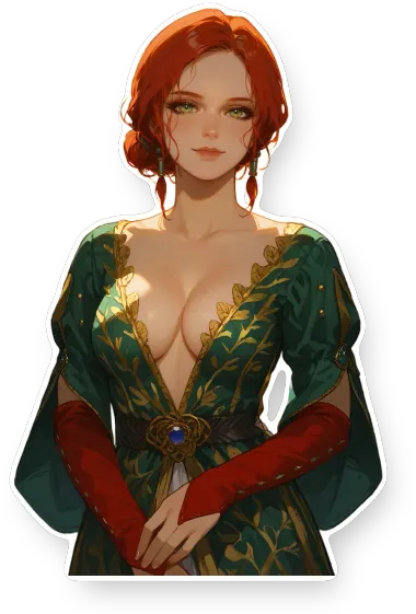 The Witcher