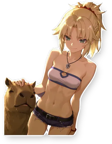 Fate Series