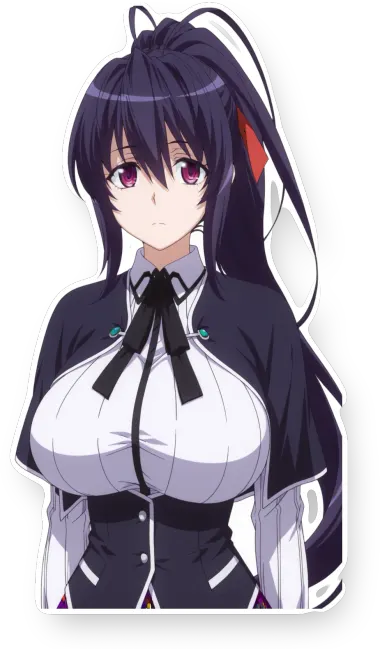 High School DxD Hero