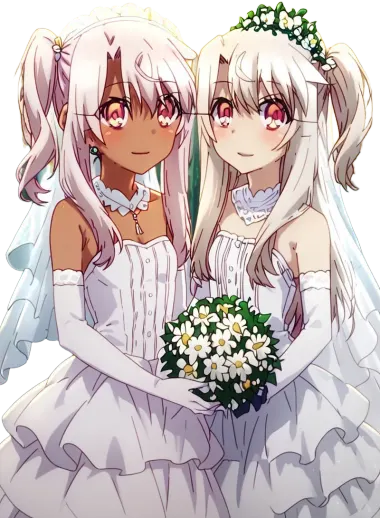 Fate/kaleid liner Prisma Illya