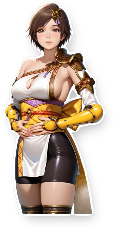 Samurai Warriors