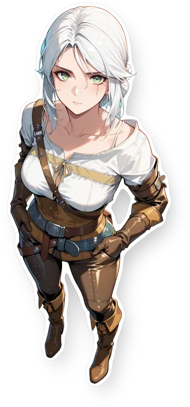 The Witcher