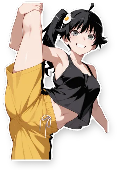 Monogatari Series