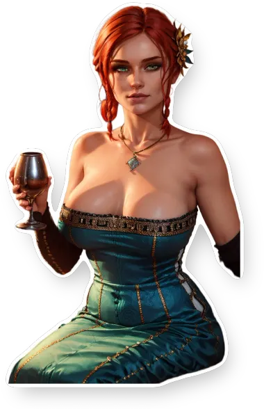 The Witcher