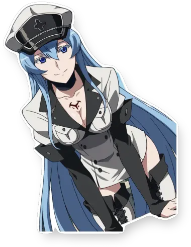 Akame ga Kill!