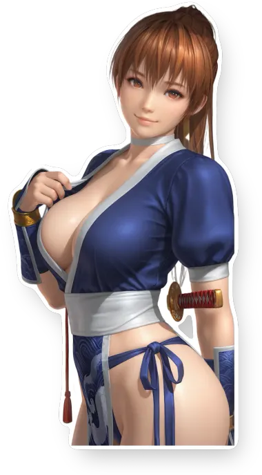 Dead or Alive 5 Last Round