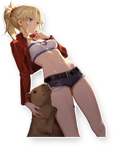Fate Series